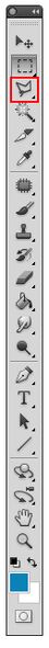 Fil:Polygonal Lasso Tool.jpg